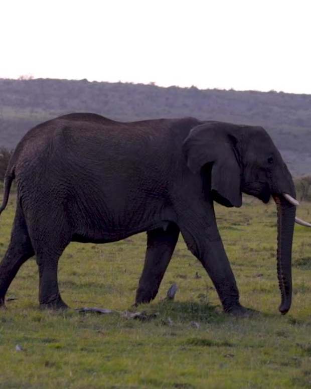 2157889318001_6033526165001_6033528313001-vs.jpg